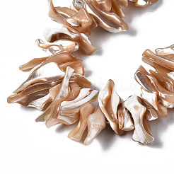 Natural Trochid Shell/Trochus Shell Beads Strands&nbsp;SSHEL-S266-012