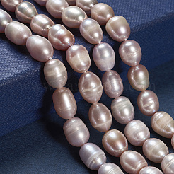 Natural Cultured Freshwater Pearl Beads Strands&nbsp;LS-PEAR-R064-16