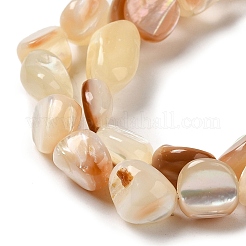 Natural Sea Shell Beads Strands&nbsp;SHEL-K006-16B