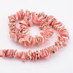 Natural Shell Bead Strands&nbsp;BSHE-P010-03