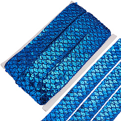 Polyester with PT Paillette Lace Trim Ribbon&nbsp;OCOR-WH20073-01E