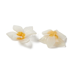 Opaque Resin Bead Caps&nbsp;RESI-L035-18