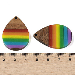 Pride Rainbow Theme Resin & Walnut Wood Pendants&nbsp;WOOD-K012-09B