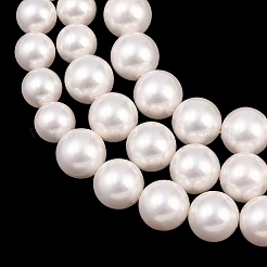 Electroplated Glass Pearl Graduated Beads Strands&nbsp;BSHE-C011-03B