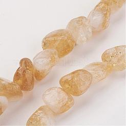 Natural Gemstone Nugget Citrine Bead Strands&nbsp;G-F156-01