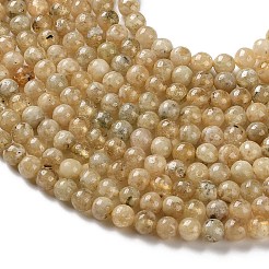 Natural Yellow Garnet Beads Strands&nbsp;G-Z129-C01-5mm-01