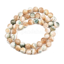 Natural Shell Beads Strands&nbsp;SH-CBA4F3D-01