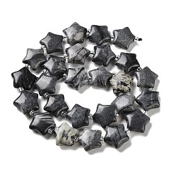 Natural Black Silk Stone/Netstone Beads Strands&nbsp;G-NH0005-009