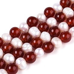 Natural Carnelian(Dyed & Heated) Round & Natural Cultured Freshwater Pearl Grooved Potato Beads Strands&nbsp;PEAR-N019-09