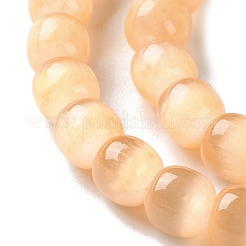 Natural Selenite Beads Strands&nbsp;G-B103-A01-03
