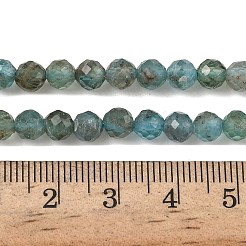 Natural Apatite Beads Strands&nbsp;G-RM250101-D1-A