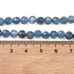 Natural Devil Blue Aquamarine Beads Strands&nbsp;G-P629-A02-04