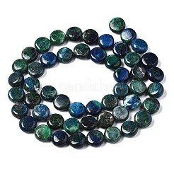 Natural Chrysocolla and Lapis Lazuli Beads Strands&nbsp;X-G-N330-032B-01