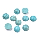 Synthetic Turquoise Cabochons&nbsp;G-P393-R70-6MM-1