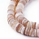 Shell Beads Strands&nbsp;SSHEL-E571-49D-1