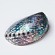 Natural Abalone Shell/Paua ShellDecoration&nbsp;SSHEL-K024-01B-2