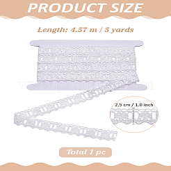 5 Yards Polyester Lace Trims&nbsp;OCOR-LP0002-91A