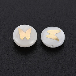 Natural Freshwater Shell Beads&nbsp;SHEL-S278-064