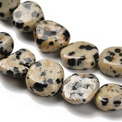 Natural Dalmatian Jasper Beads Strands&nbsp;G-P497-01E-80