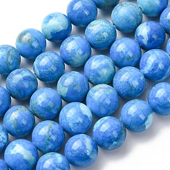 Natural Howlite Beads Strands&nbsp;G-H343-D06-12mm-B