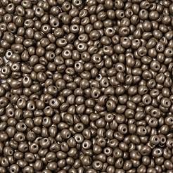 6/0 Glass Seed Beads&nbsp;SEED-L011-08A-09
