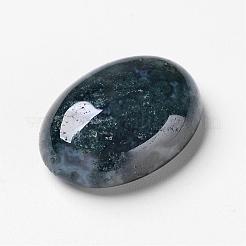 Natural Moss Agate Cabochons&nbsp;G-F296-09-18x25mm