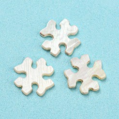 Natural Sea Shell Cabochons&nbsp;SHEL-D079-10