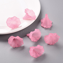 Transparent Acrylic Beads&nbsp;X-BSF796-C10