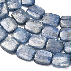 Natural Kyanite Beads Strands&nbsp;G-H335-I01-10x12mm