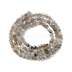 Natural Labradorite Beads Strands&nbsp;G-I341-11