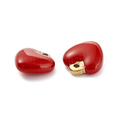 201 Stainless Steel Enamel Charms&nbsp;STAS-K221-01G