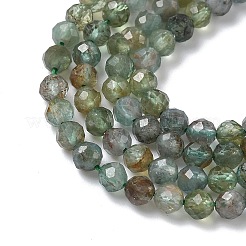 Natural Green Apatite Beads Strands&nbsp;G-L651-C08-4mm