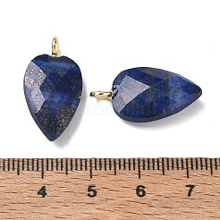 Dyed Natural Lapis LazuliPendants&nbsp;GG-CBA9F30-01F