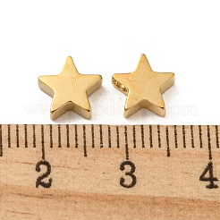 304 Stainless Steel Charms&nbsp;STAS-L022-216G