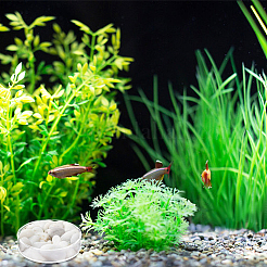 8Pcs 2 Style Transparent Acrylic Aquarium Shrimp Feeding Dishes&nbsp;AJEW-GO0001-01