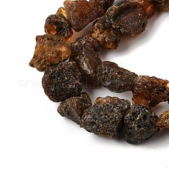 Raw Rough Natural Amber Beads Strands&nbsp;GG-CBAC13F-D01-01