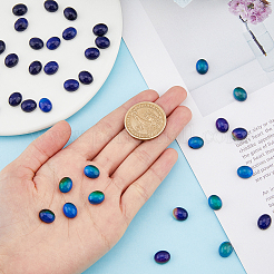 Translucent Glass Cabochons&nbsp;GLAA-FH0001-54