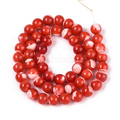 Natural Trochus Shell Mother of Pearl Shell Beads Strands&nbsp;SSHEL-T012-06