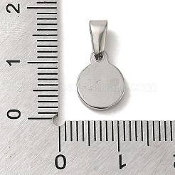 Non-Tarnish 304 Stainless Steel Charms&nbsp;STAS-B053-01P