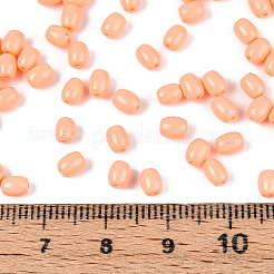 Baking Paint Glass Seed Beads&nbsp;SEED-N007-29D