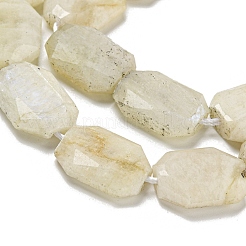 Natural Rainbow Moonstone Beads Strands&nbsp;G-P544-B05-01