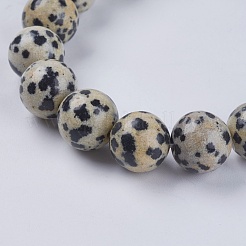 Natural Dalmation Jasper Beads Strands&nbsp;X-G-G515-10mm-06