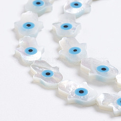 Natural White Shell Mother of Pearl Shell Beads&nbsp;SSHEL-L017-005C