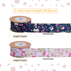 2 Rolls 2 Colors Polyester Ribbon&nbsp;SRIB-GF0001-19