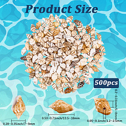 165g Natural Shell Pendants&nbsp;SHEL-PA0001-05