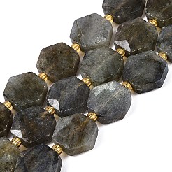 Natural Labradorite Beads Strands&nbsp;G-N368-01A-07
