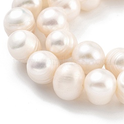 Natural Cultured Freshwater Pearl Beads Strands&nbsp;PEAR-C003-15C