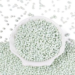 Opaque Glass Seed Beads&nbsp;GLAA-Q119-01-A05