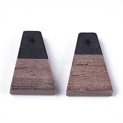 Resin & Wood Pendants&nbsp;X-RESI-S358-52J