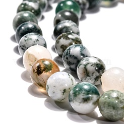 Natural Tree Agate Beads Strands&nbsp;G-H1633-8MM
